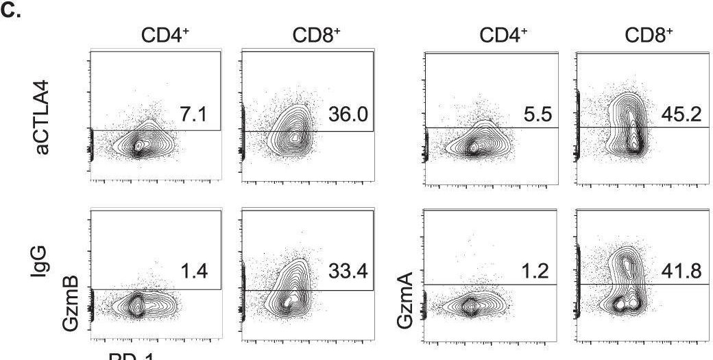 Fig.7.C showing Flow cytometry/Cell sorting in a Mus musculus (House mouse) sample from the publication: CTLA4 protects against maladaptive cytotoxicity during the differentiation of effector and follicular CD4+ T cells.