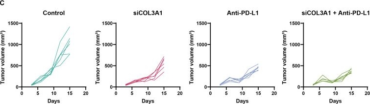 Fig.7.C showing Flow cytometry/Cell sorting in a Mus musculus (House mouse) sample from the publication: Integrative Transcriptomic Analysis Identifies COL3A1 as a Potential Tumor-Intrinsic Therapeutic Target in NSCLC.