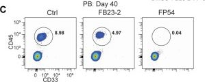 Fig.5.C showing Flow cytometry/Cell sorting in a Mus musculus (House mouse) sample from the publication: FTO degrader impairs ribosome biogenesis and protein translation in acute myeloid leukemia.