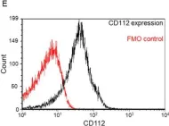 Fig.8.E showing Flow cytometry/Cell sorting in a Homo sapiens (Human) sample from the publication: Examination of the TIGIT, CD226, CD112, and CD155 Immune Checkpoint Molecules in Peripheral Blood Mononuclear Cells in Women Diagnosed with Early-Onset Preeclampsia.