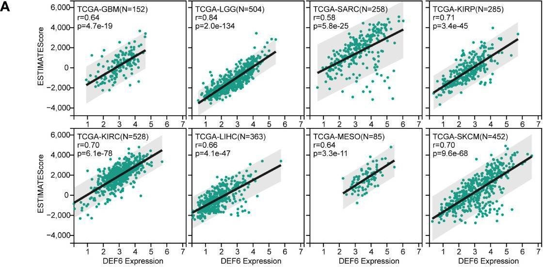 Fig.8.A showing Flow cytometry/Cell sorting from the publication: DEF6 has potential to be a biomarker for cancer prognosis: A pan-cancer analysis.