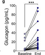 Fig.10.G showing Enzyme-linked immunosorbent assay from the publication: Increased dietary protein stimulates amino acid catabolism via the gut microbiota and secondary bile acid production.
