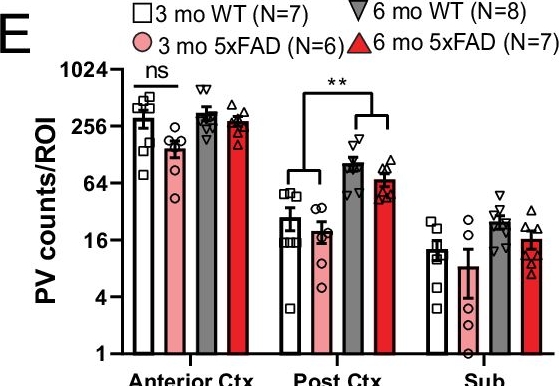 Fig.4.E from the publication: Native-state proteomics of Parvalbumin interneurons identifies unique molecular signatures and vulnerabilities to early Alzheimer's pathology.