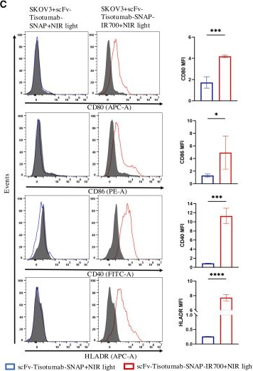 Fig.8.C showing Flow cytometry/Cell sorting from the publication: Near-infrared photoimmunotherapy for effective elimination of ovarian cancer cells by inducing immunogenic cell death.