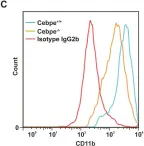 Fig.2.C showing Flow cytometry/Cell sorting from the publication: Human α-defensin expression is not dependent on CCAAT/enhancer binding protein-ε in a murine model.