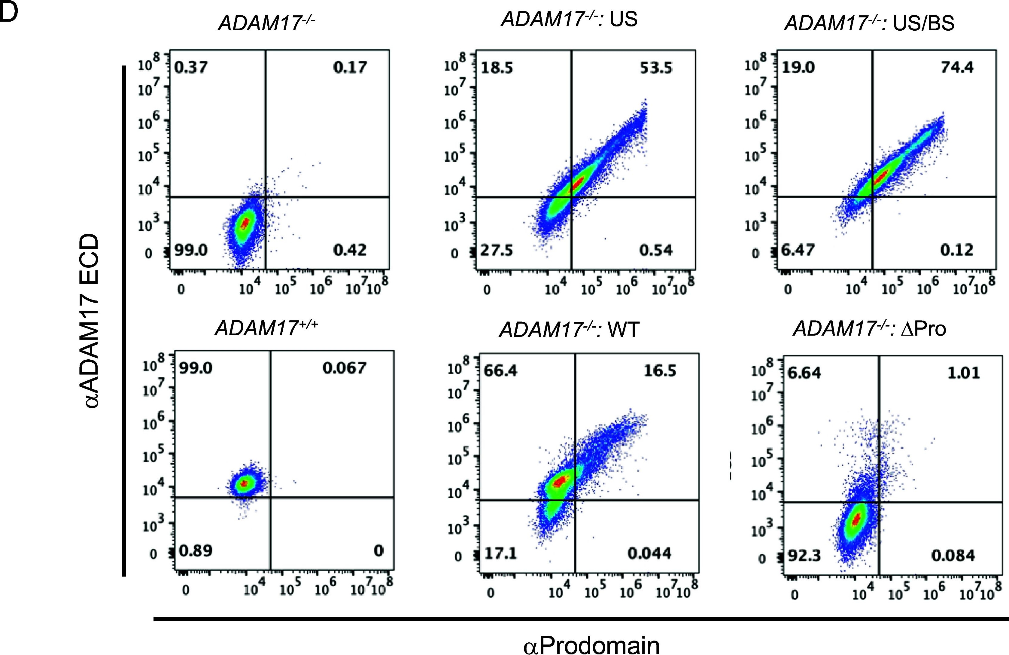 Fig.5.D showing Flow cytometry/Cell sorting in a Homo sapiens (Human) sample from the publication: Structural insights into the activation and inhibition of the ADAM17-iRhom2 complex.
