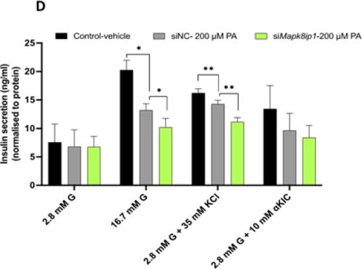 Fig.5.D showing Enzyme-linked immunosorbent assay from the publication: Dual Role of Mitogen-Activated Protein Kinase 8 Interacting Protein-1 in Inflammasome and Pancreatic β-Cell Function.