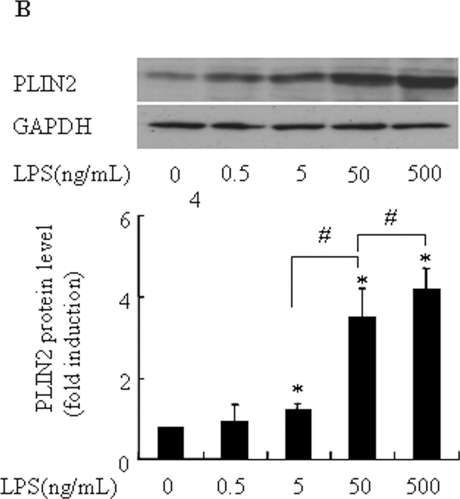 Pycnogenol Attenuates the Release of Proinflammatory Cytokines and Expression of Perilipin 2 in Lipopolysaccharide-Stimulated Microglia in Part via Inhibition of NF-κB and AP-1 Activation.