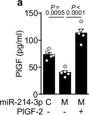 Fig.5.A showing Enzyme-linked immunosorbent assay from the publication: Alleviation of preeclampsia-like symptoms through PlGF and eNOS regulation by hypoxia- and NF-κB-responsive miR-214-3p deletion.