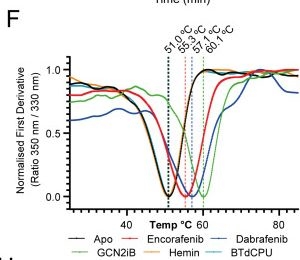 Fig.2.F from the publication: Structural insights into allosteric inhibition of HRI kinase by heme binding via HDX-MS.