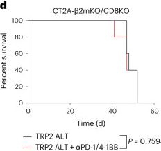 Fig.2.D from the publication: CD8+ T cells maintain killing of MHC-I-negative tumor cells through the NKG2D-NKG2DL axis.