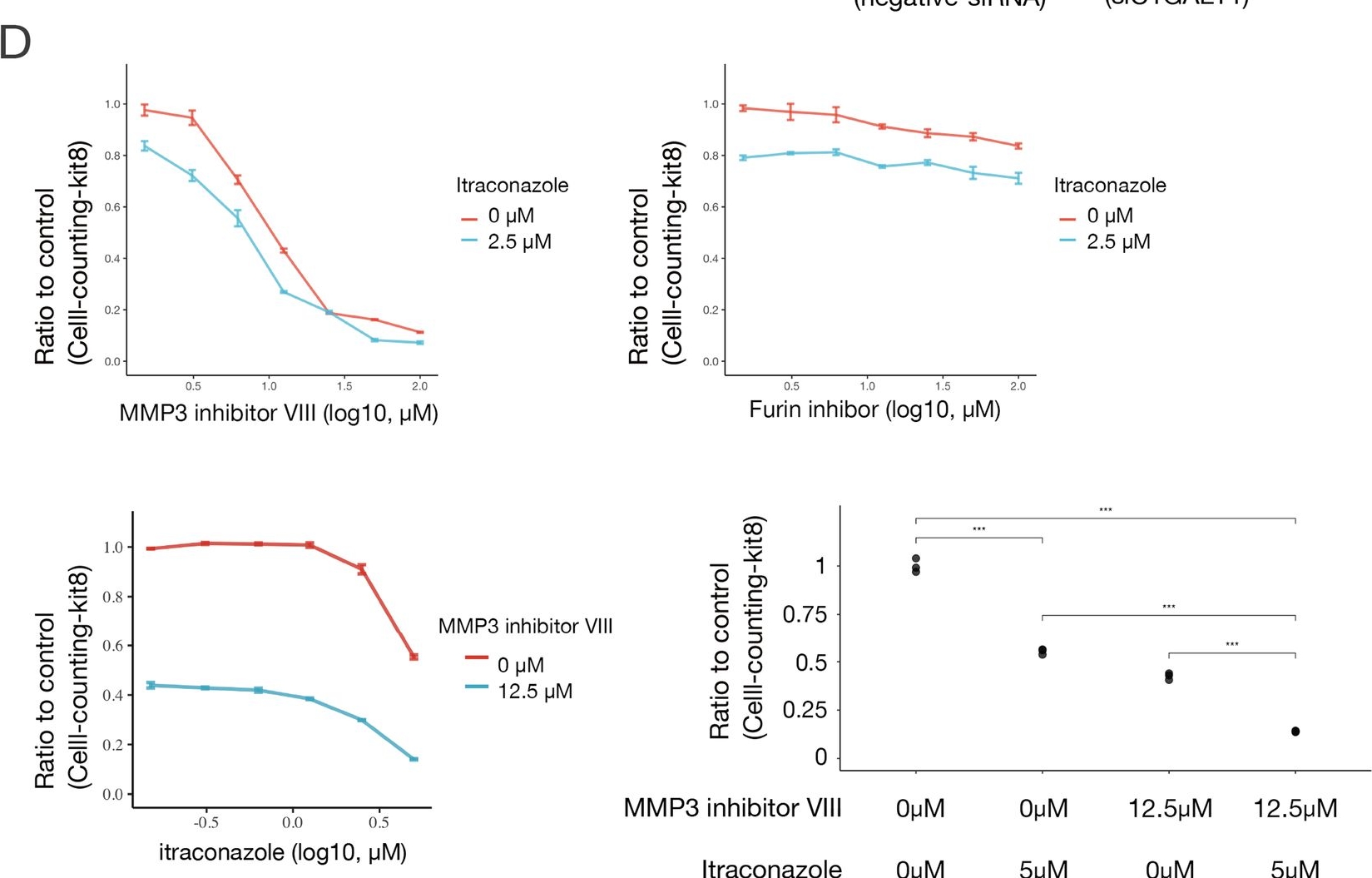 Fig.6.D from the publication: Inhibition of the galactosyltransferase C1GALT1 reduces osteosarcoma cell proliferation by interfering with ERK signaling and cell cycle progression.