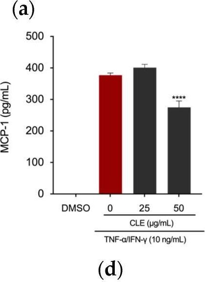 Fig.5.A showing Enzyme-linked immunosorbent assay from the publication: Phytochemical Composition, Anti-Inflammatory Property, and Anti-Atopic Effect of Chaetomorpha linum Extract.