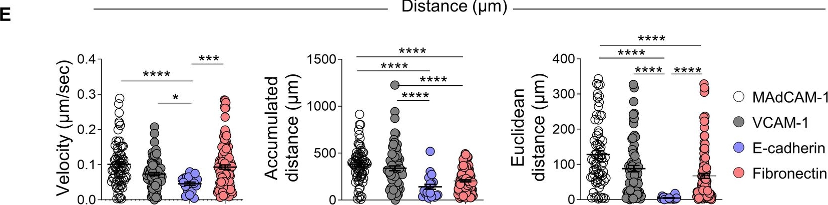 Fig.5.E from the publication: The protective roles of integrin α4β7 and Amphiregulin-expressing innate lymphoid cells in lupus nephritis.