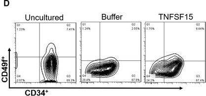 Fig.1.D showing Flow cytometry/Cell sorting in a Homo sapiens (Human) sample from the publication: TNFSF15 facilitates human umbilical cord blood haematopoietic stem cell expansion by activating Notch signal pathway.