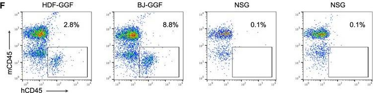 Fig.3.F showing Flow cytometry/Cell sorting in a Homo sapiens (Human) sample from the publication: Cooperative Transcription Factor Induction Mediates Hemogenic Reprogramming.
