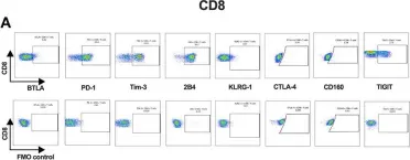 Fig.2.A showing Flow cytometry/Cell sorting in a Homo sapiens (Human) sample from the publication: A Comprehensive Analysis of Key Immune Checkpoint Receptors on Tumor-Infiltrating T Cells From Multiple Types of Cancer.