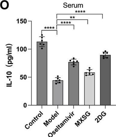 Fig.2.O showing Enzyme-linked immunosorbent assay from the publication: Pharmacological mechanisms of Ma Xing Shi Gan Decoction in treating influenza virus-induced pneumonia: intestinal microbiota and pulmonary glycolysis.