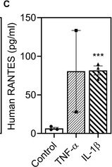 Fig.6.C showing Enzyme-linked immunosorbent assay from the publication: Cerebrovascular-Specific Extracellular Matrix Bioink Promotes Blood-Brain Barrier Properties.