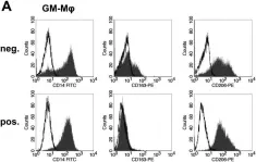 Fig.1.A showing Flow cytometry/Cell sorting in a Homo sapiens (Human) sample from the publication: CD14-dependent monocyte isolation enhances phagocytosis of listeria monocytogenes by proinflammatory, GM-CSF-derived macrophages.