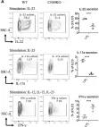 Fig.2.A showing Flow cytometry/Cell sorting in a Mus musculus (House mouse) sample from the publication: A cis-element at the Rorc locus regulates the development of type 3 innate lymphoid cells.