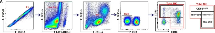 Fig.1.A showing Flow cytometry/Cell sorting from the publication: Expression of the Inhibitory Receptor TIGIT Is Up-Regulated Specifically on NK Cells With CD226 Activating Receptor From HIV-Infected Individuals.