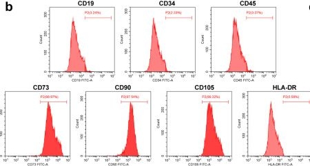 Fig.2.B showing Flow cytometry/Cell sorting from the publication: MSC-derived exosomal miR-140-3p improves cognitive dysfunction in sepsis-associated encephalopathy by HMGB1 and S-lactoylglutathione metabolism.
