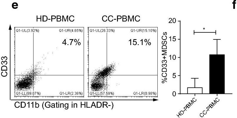 Fig.1.E showing Flow cytometry/Cell sorting in a Homo sapiens (Human) sample from the publication: Connecting METTL3 and intratumoural CD33+ MDSCs in predicting clinical outcome in cervical cancer.