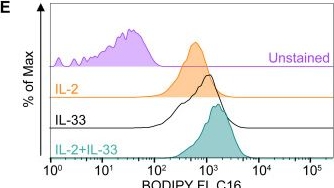 Fig.4.E showing Flow cytometry/Cell sorting from the publication: Analysis of lipid uptake, storage, and fatty acid oxidation by group 2 innate lymphoid cells.