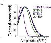 Fig.6.J showing Flow cytometry/Cell sorting from the publication: STIM-IP3R crosstalk regulates migration of breast cancer cells.