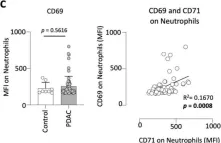 Fig.2.C showing Flow cytometry/Cell sorting in a Homo sapiens (Human) sample from the publication: CD71 expressing circulating neutrophils serve as a novel prognostic biomarker for metastatic spread and reduced outcome in pancreatic ductal adenocarcinoma patients.