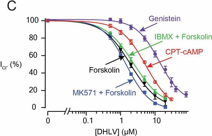 Fig.4.C from the publication: Natural statin derivatives as potential therapy to reduce intestinal fluid loss in cholera.