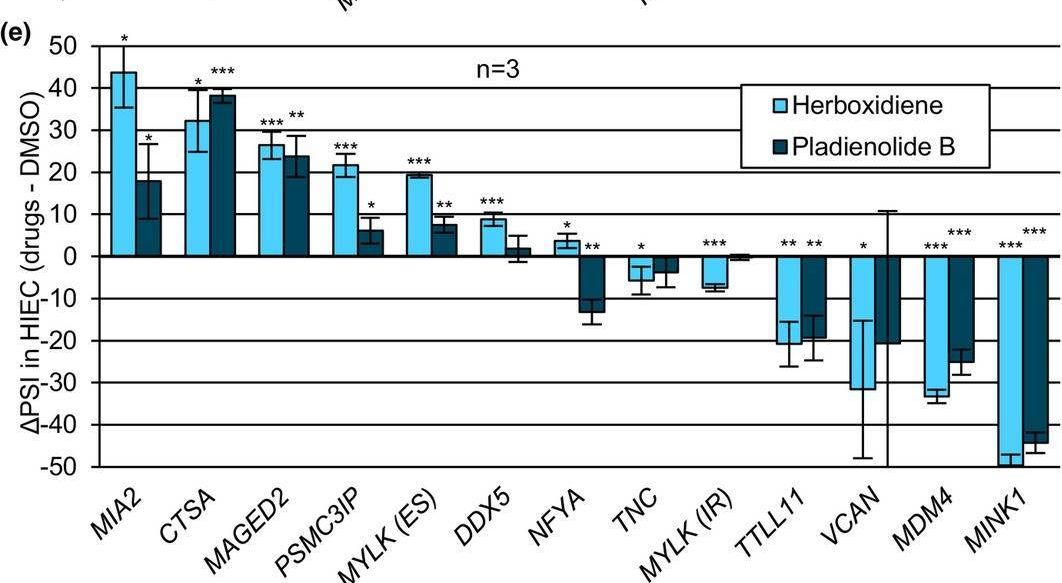 Fig.3.E from the publication: A defective splicing machinery promotes senescence through MDM4 alternative splicing.