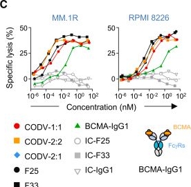 Fig.1.C from the publication: Targeting BCMA in multiple myeloma with a trifunctional NK cell engager.