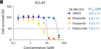 Fig.1.G from the publication: Electrophilic compound screening identifies GPX4-dependent ferroptosis as a senescence vulnerability.