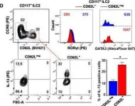 Fig.1.D showing Flow cytometry/Cell sorting from the publication: Circulating ILC precursors expressing CD62L exhibit a type 2 signature distinctly decreased in psoriatic patients.