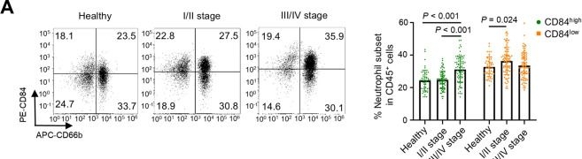 Fig.7.A showing Flow cytometry/Cell sorting in a Homo sapiens (Human) sample from the publication: The Ly6ghigh Neutrophil Subset Dictates Breast Cancer Lung Metastasis via CD8+ T Cell Death.