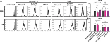 Fig.4.A showing Flow cytometry/Cell sorting in a Mus musculus (House mouse) sample from the publication: The secreted protein Cowpox Virus 14 contributes to viral virulence and immune evasion by engaging Fc-gamma-receptors.