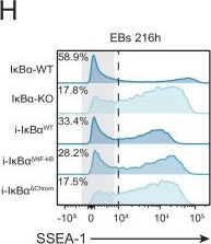 Fig.5.H showing Flow cytometry/Cell sorting from the publication: Chromatin activity of IκBα mediates the exit from naïve pluripotency.