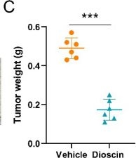 Fig.7.C from the publication: Dioscin inhibits non-small cell lung cancer cells and activates apoptosis by downregulation of Survivin.