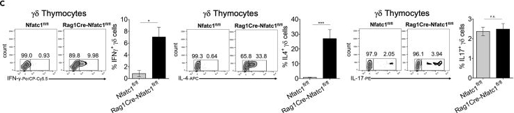 Fig.2.C from the publication: NFATc1 induction by an intronic enhancer restricts NKT γδ cell formation.