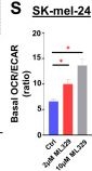 Fig.2.S from the publication: Significant and Various Effects of ML329-Induced MITF Suppression in the Melanoma Cell Line.