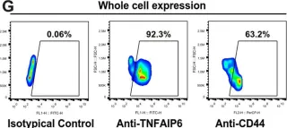 Fig.4.G showing Flow cytometry/Cell sorting from the publication: TNFAIP6 defines the MSC subpopulation with enhanced immune suppression activities.