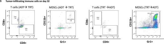 Fig.2.B showing Flow cytometry/Cell sorting in a Mus musculus (House mouse) sample from the publication: Myeloid-derived suppressor cells attenuate the antitumor efficacy of radiopharmaceutical therapy using 90Y-NM600 in combination with androgen deprivation therapy in murine prostate tumors.
