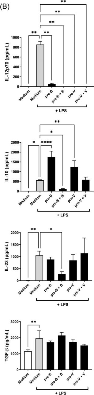 Fig.7.B showing Enzyme-linked immunosorbent assay from the publication: The effect of microbial metabolites from colonic protein fermentation on bacteria-induced cytokine production in dendritic cells.