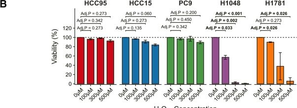 Fig.6.B from the publication: Wnt3-mediated fibrosis and carcinogenesis of lung squamous cell carcinoma in idiopathic pulmonary fibrosis.