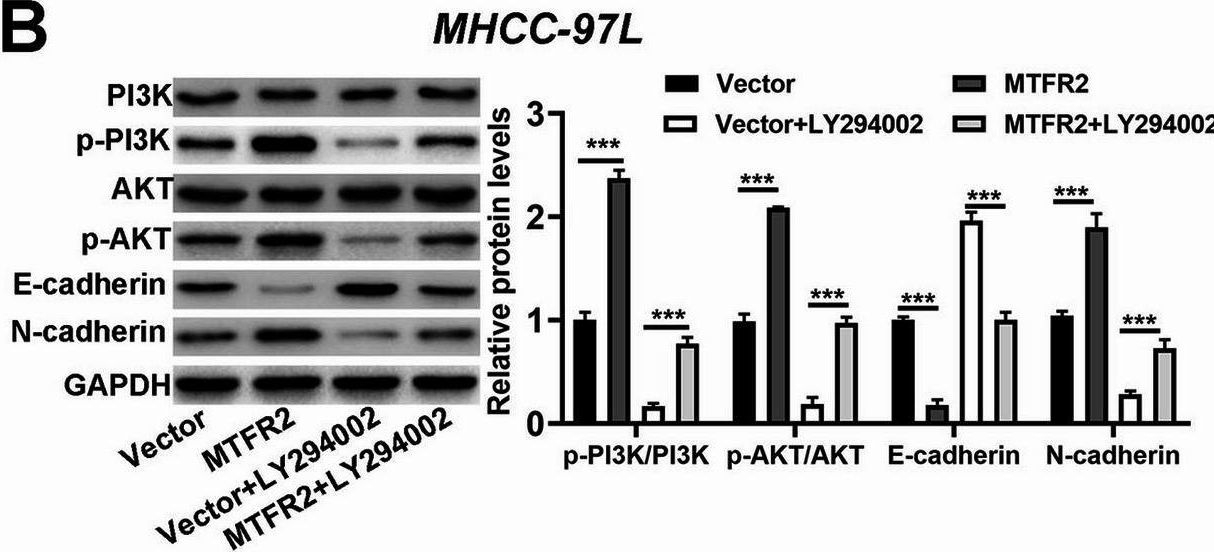 PI3K antibodies - Antibody search engine - CiteAb