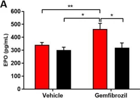 Fig.2.A showing Enzyme-linked immunosorbent assay from the publication: Gemfibrozil Induces Anemia, Leukopenia and Reduces Hematopoietic Stem Cells via PPAR-α in Mice.