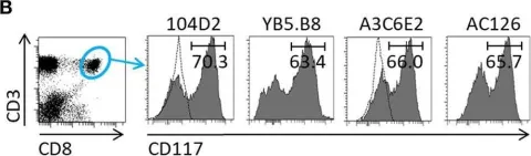 Fig.1.B showing Flow cytometry/Cell sorting from the publication: CD117 (c-Kit) Is Expressed During CD8+ T Cell Priming and Stratifies Sensitivity to Apoptosis According to Strength of TCR Engagement.