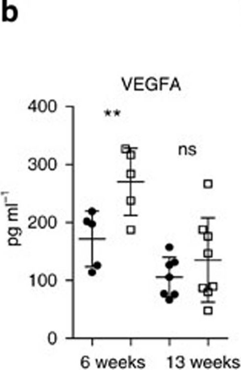 Fig.2.B showing Enzyme-linked immunosorbent assay in a Mus musculus (House mouse) sample from the publication: Disruption of STAT3 signalling promotes KRAS-induced lung tumorigenesis.